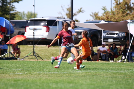 State Cup